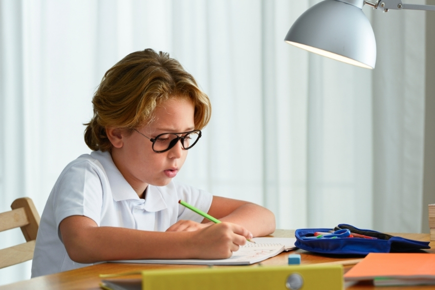 Primary Homework Help - Child Doing His Homework