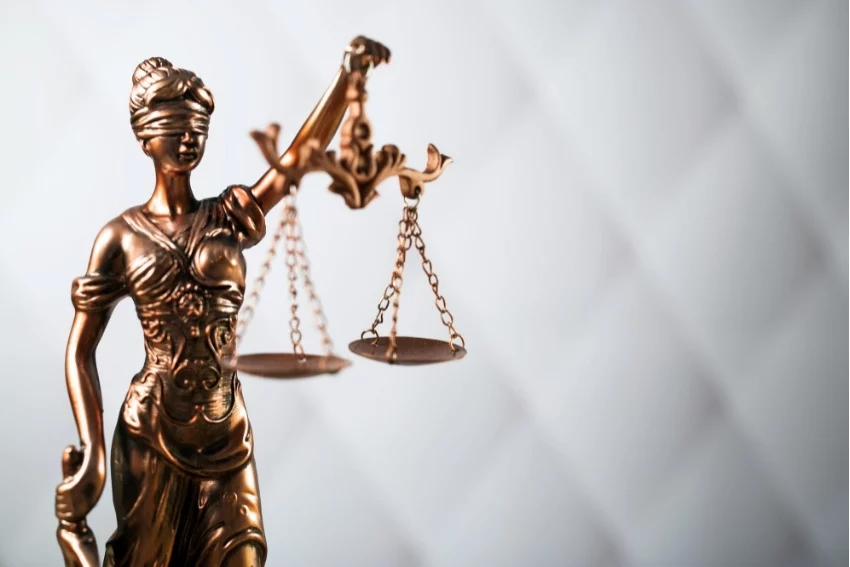 Studying Law With a Law Tutor