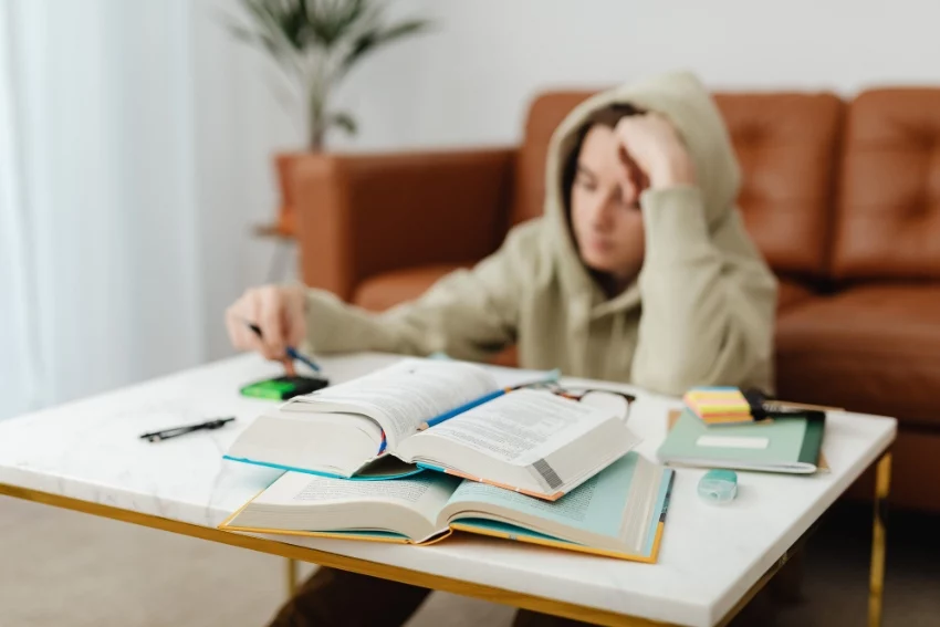 GCSE Student Studying GCSE History