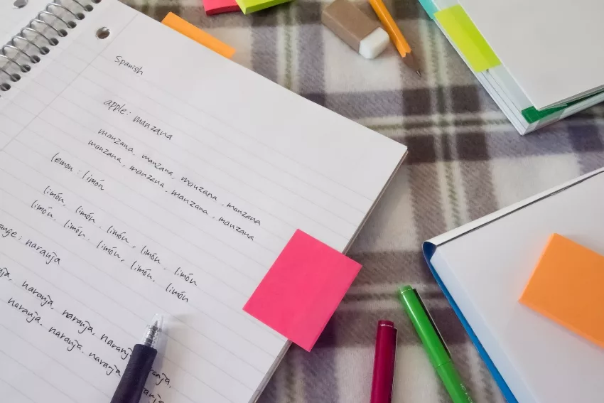 GCSE Student Studying GCSE Spanish