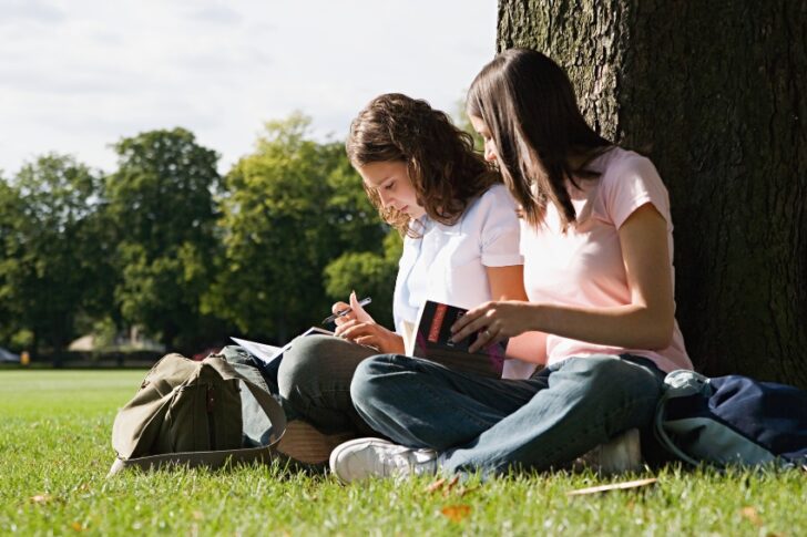 blog-image