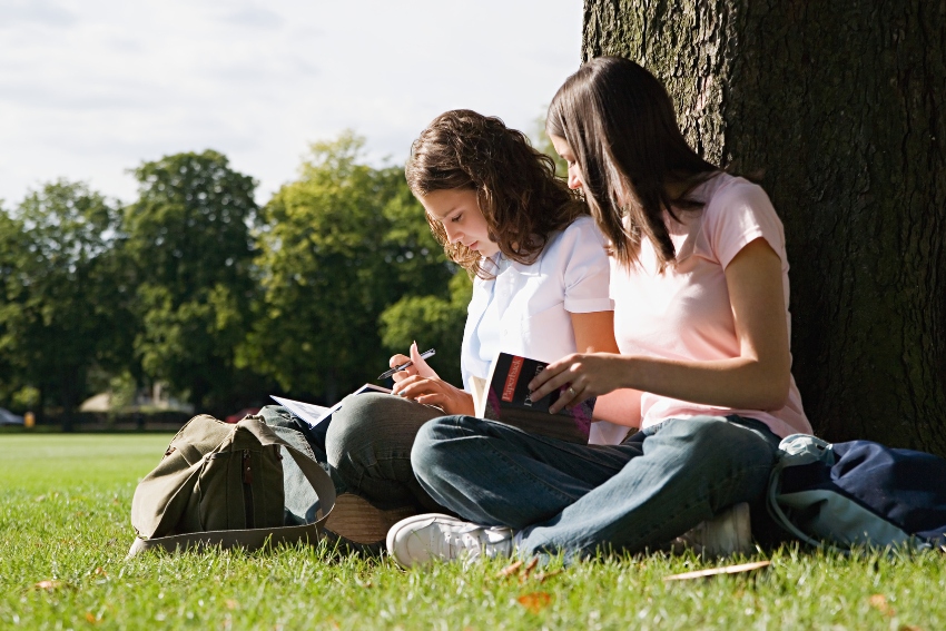 GCSE and A-level Student Revising Together in Summer