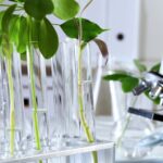 Bioenergetics - GCSE Biology