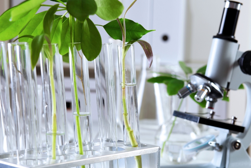 Bioenergetics - GCSE Biology