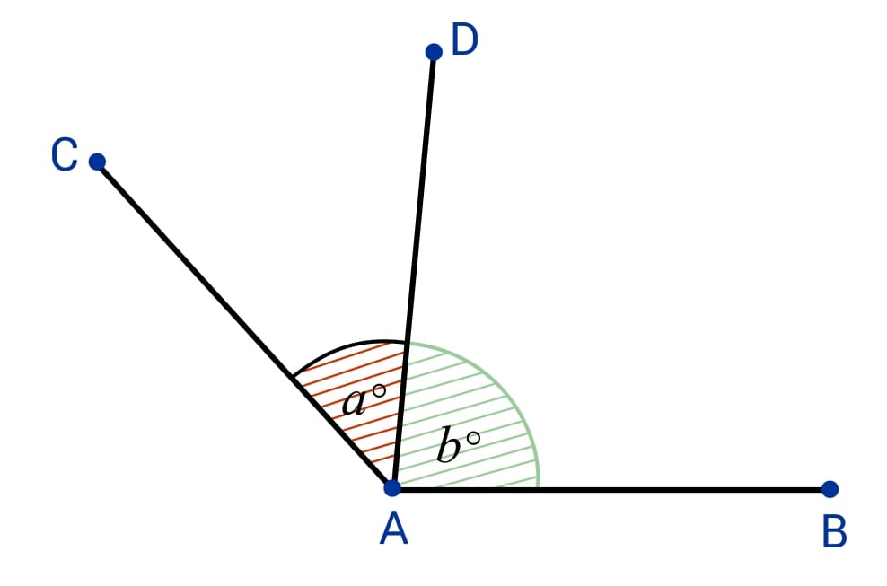 Adjacent Angles