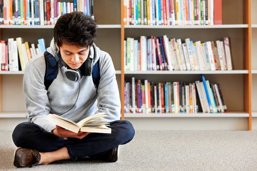 GCSE English Student Reading a Blog